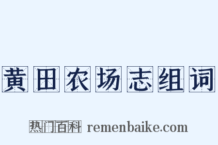 黄田农场志组词是什么意思的图片